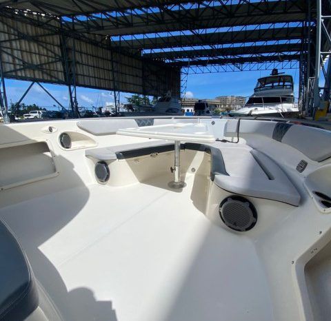 
								PROMARINE SPORT FISHING 33 full									