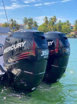 
										PROMARINE SPORT FISHING 33 full									