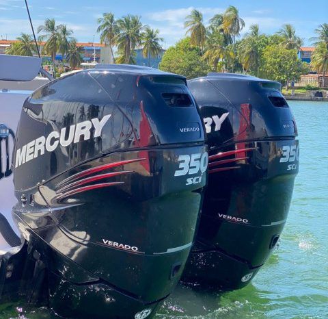 
								PROMARINE SPORT FISHING 33 full									