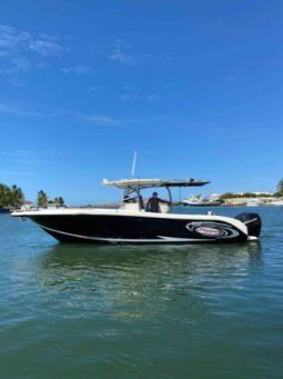 
										PROMARINE SPORT FISHING 33 full									