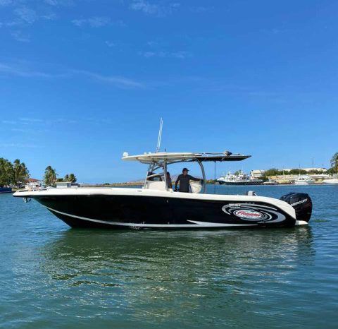 
								PROMARINE SPORT FISHING 33 full									
