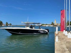 PROMARINE SPORT FISHING 33