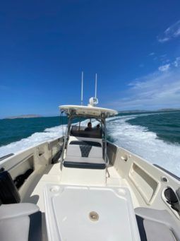 
										PROMARINE SPORT FISHING 33 full									