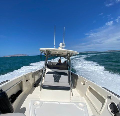 
								PROMARINE SPORT FISHING 33 full									