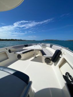 
										PROMARINE SPORT FISHING 33 full									