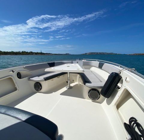 
								PROMARINE SPORT FISHING 33 full									