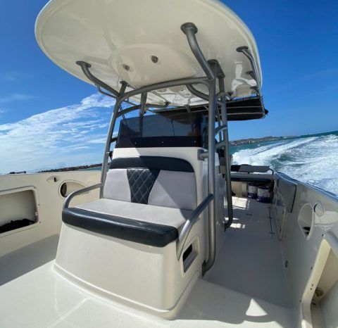 
								PROMARINE SPORT FISHING 33 full									