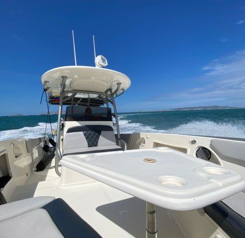 
								PROMARINE SPORT FISHING 33 full									