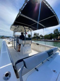 
										PROMARINE SPORT FISHING 33 full									