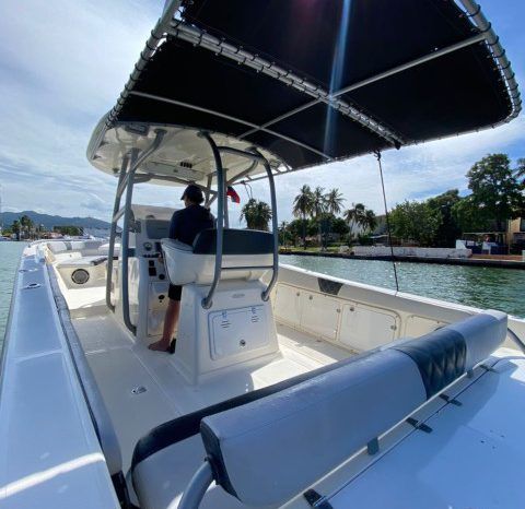 
								PROMARINE SPORT FISHING 33 full									
