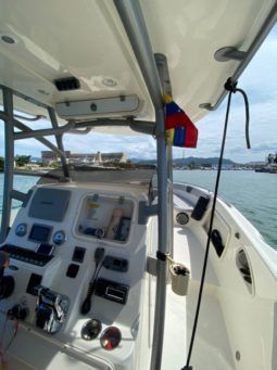 
										PROMARINE SPORT FISHING 33 full									