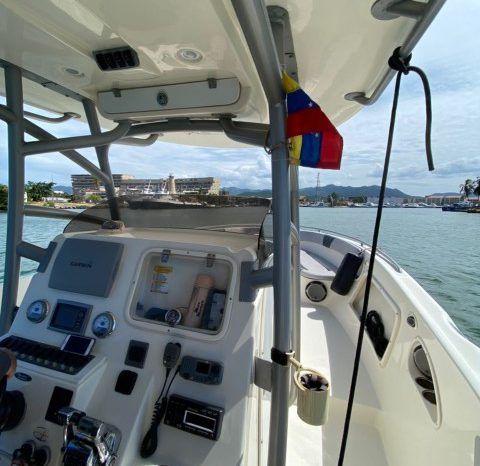 
								PROMARINE SPORT FISHING 33 full									