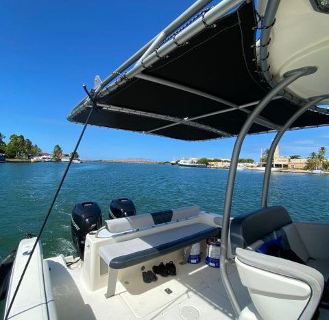 
								PROMARINE SPORT FISHING 33 full									