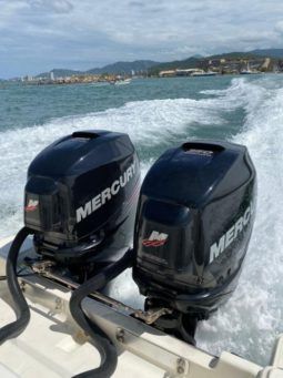 
										PROMARINE SPORT FISHING 33 full									