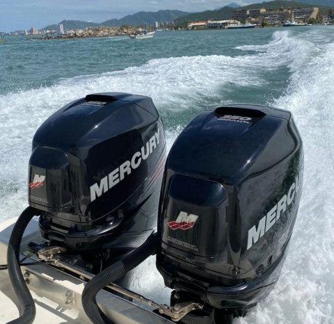 
								PROMARINE SPORT FISHING 33 full									