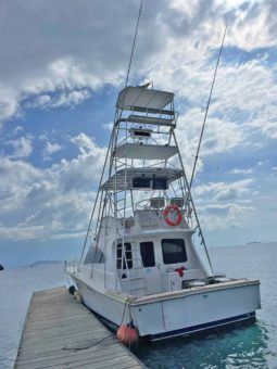 
										LUHRS CONVERTIBLE 380 full									
