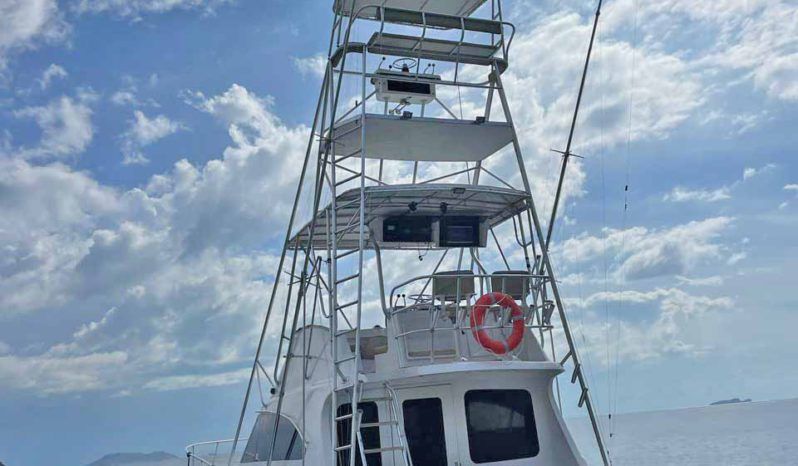 
								LUHRS CONVERTIBLE 380 full									