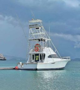 
										LUHRS CONVERTIBLE 380 full									