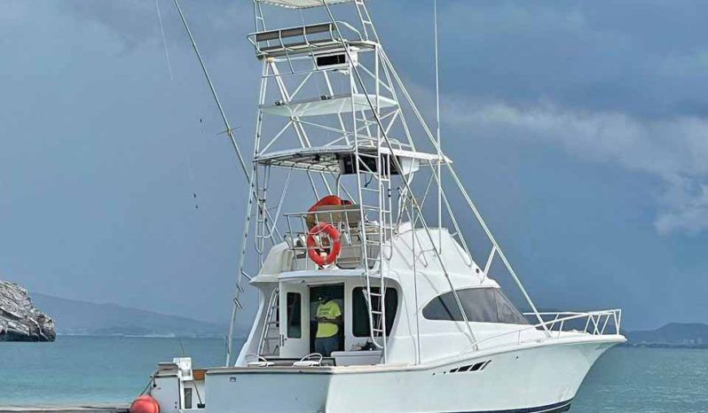 
								LUHRS CONVERTIBLE 380 full									