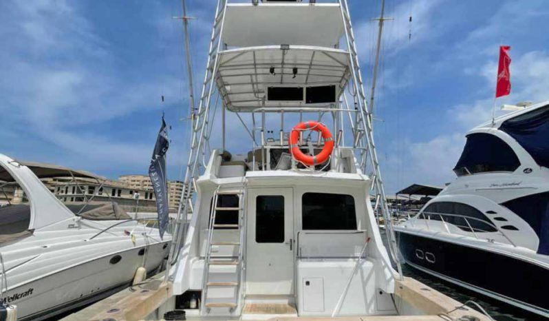 
								LUHRS CONVERTIBLE 380 full									