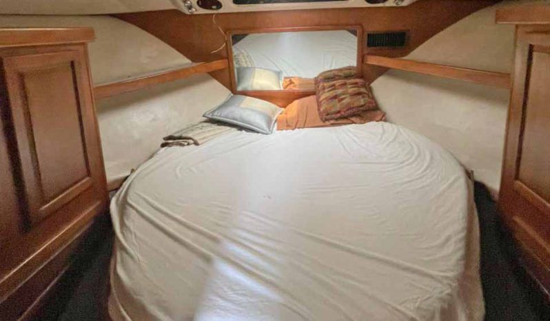 
								LUHRS CONVERTIBLE 380 full									
