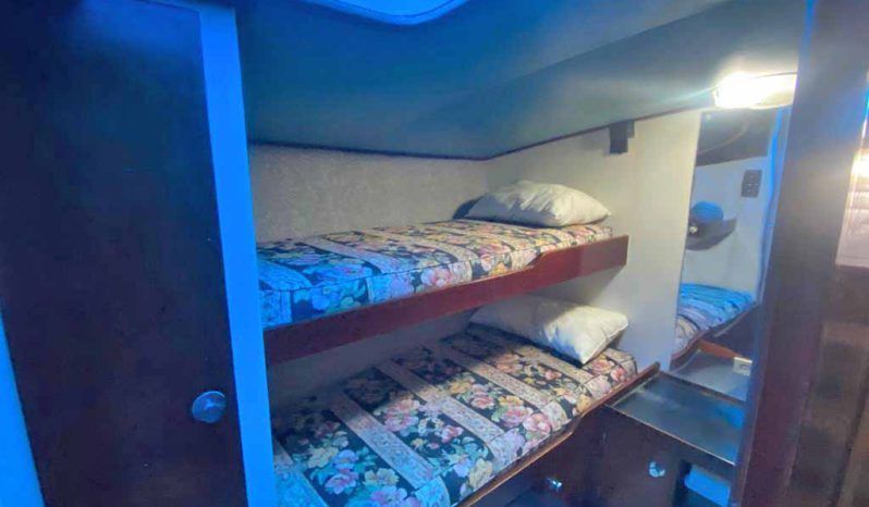 
								STRIKER MARINE ALUMINIO 54 full									