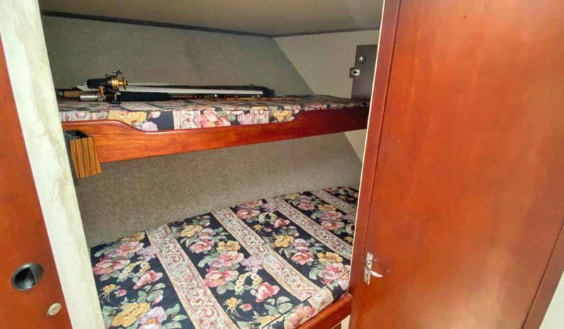 
								STRIKER MARINE ALUMINIO 54 full									