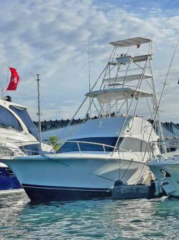 
										LUHRS CONVERTIBLE 380 full									