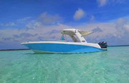 
										CORALINE 30 full									