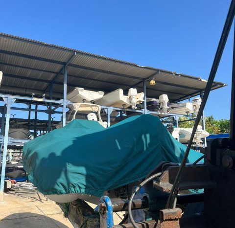 
								DINGHY CARIBE 20 full									