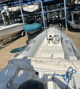 
										DINGHY CARIBE 20 full									