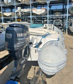 
										DINGHY CARIBE 20 full									