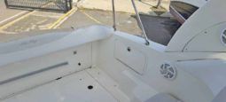 SEA RAY SUNDANCER 28 full