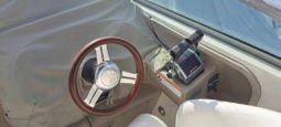 SEA RAY SUNDANCER 28 full