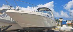 SEA RAY SUNDANCER 28 full