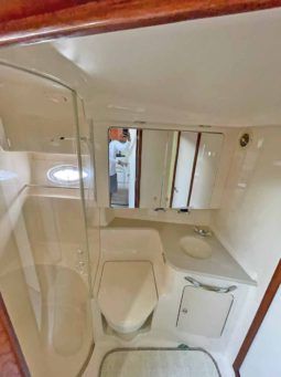 
										SEA RAY SUNDANCER 46 full									