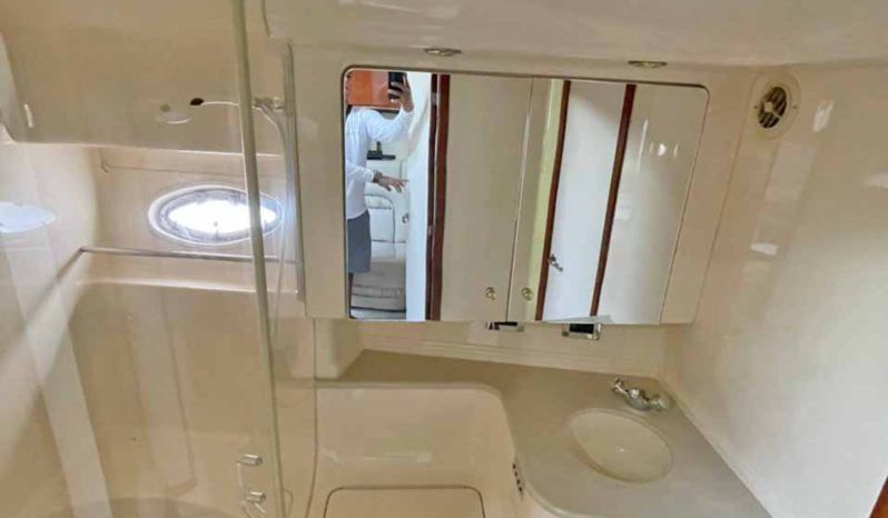 
								SEA RAY SUNDANCER 46 full									