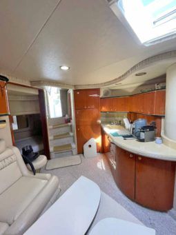 
										SEA RAY SUNDANCER 46 full									