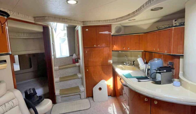 
								SEA RAY SUNDANCER 46 full									