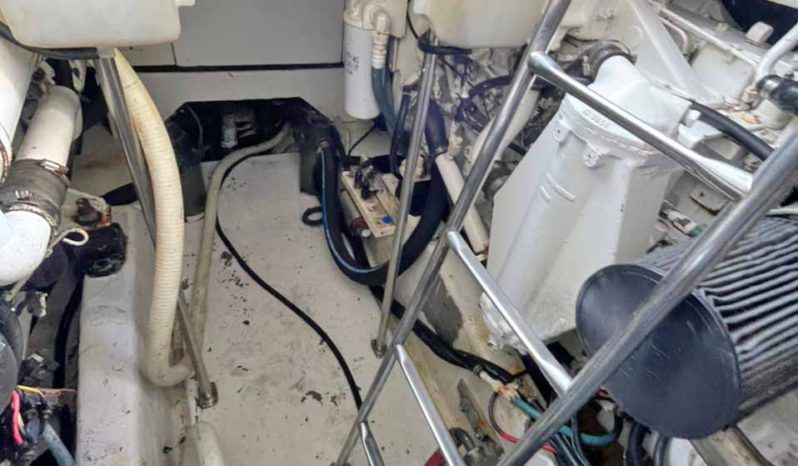 
								SEA RAY SUNDANCER 46 full									