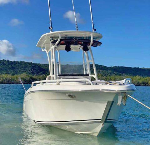 
								AQUANAUTI OPEN 24 full									