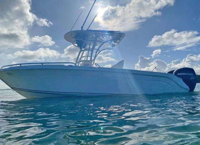 
								AQUANAUTI OPEN 24 full									