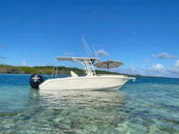 
										AQUANAUTI OPEN 24 full									