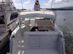 
										FORMULA PC 41 full									