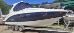 
										CHAPARRAL SIGNATURE 310 full									
