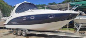 CHAPARRAL SIGNATURE 310