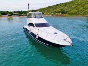 SEA RAY SEDAN BRIDGE 55