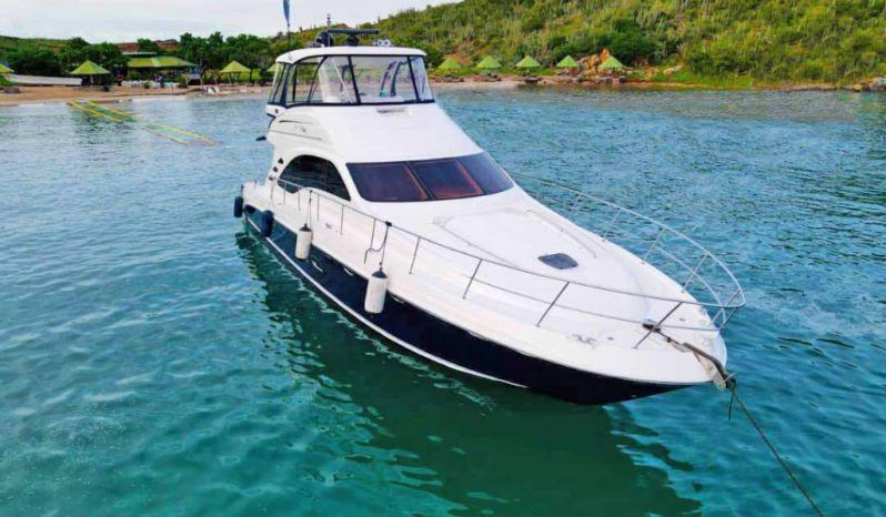 
								SEA RAY SEDAN BRIDGE 55 full									