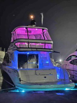 
										SEA RAY SEDAN BRIDGE 55 full									