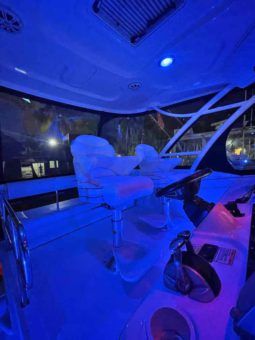 
										SEA RAY SEDAN BRIDGE 55 full									